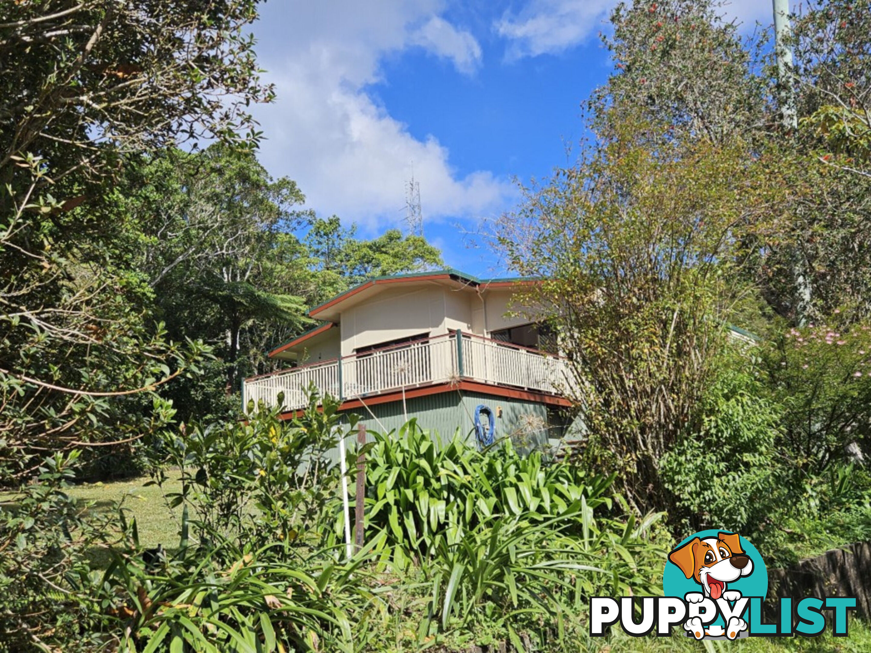 31 Lennox Crescent Paluma QLD 4816