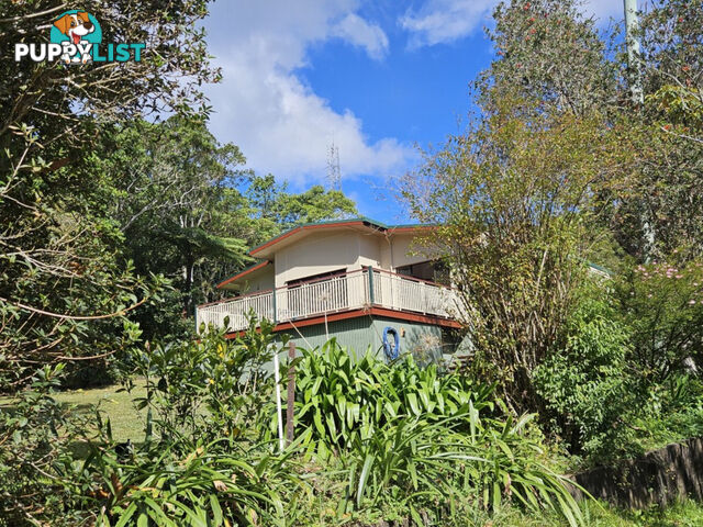 31 Lennox Crescent Paluma QLD 4816