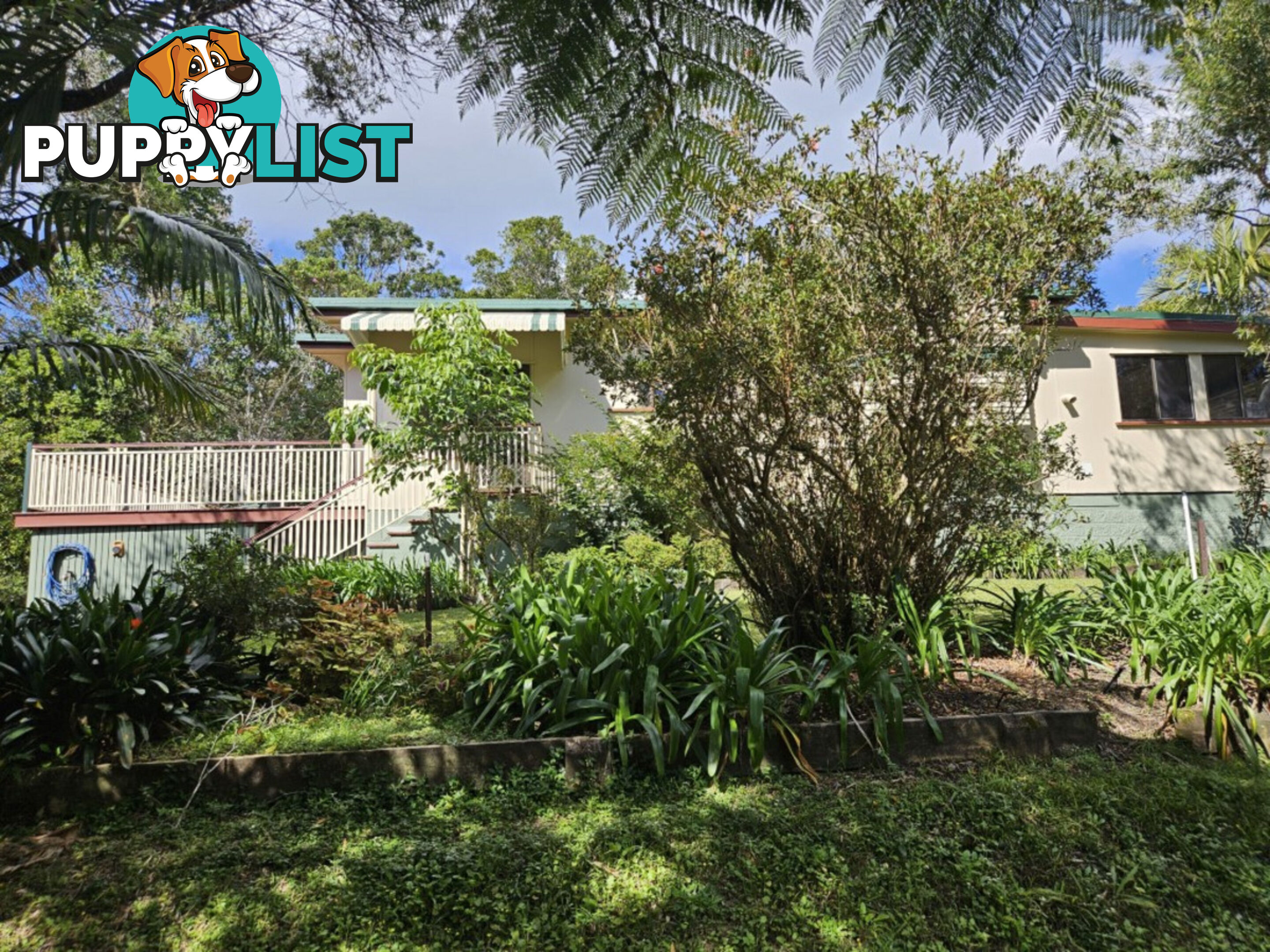 31 Lennox Crescent Paluma QLD 4816