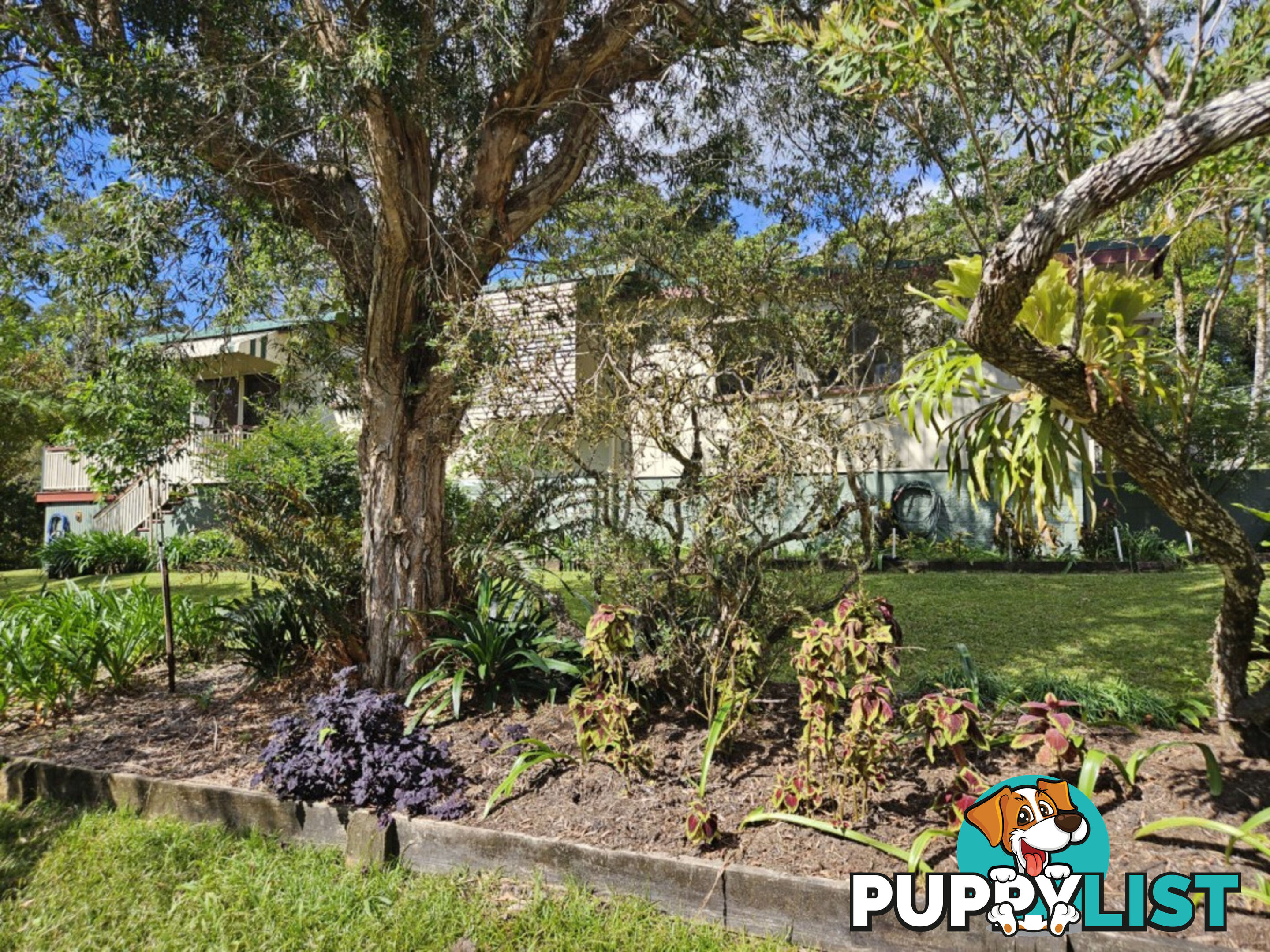 31 Lennox Crescent Paluma QLD 4816