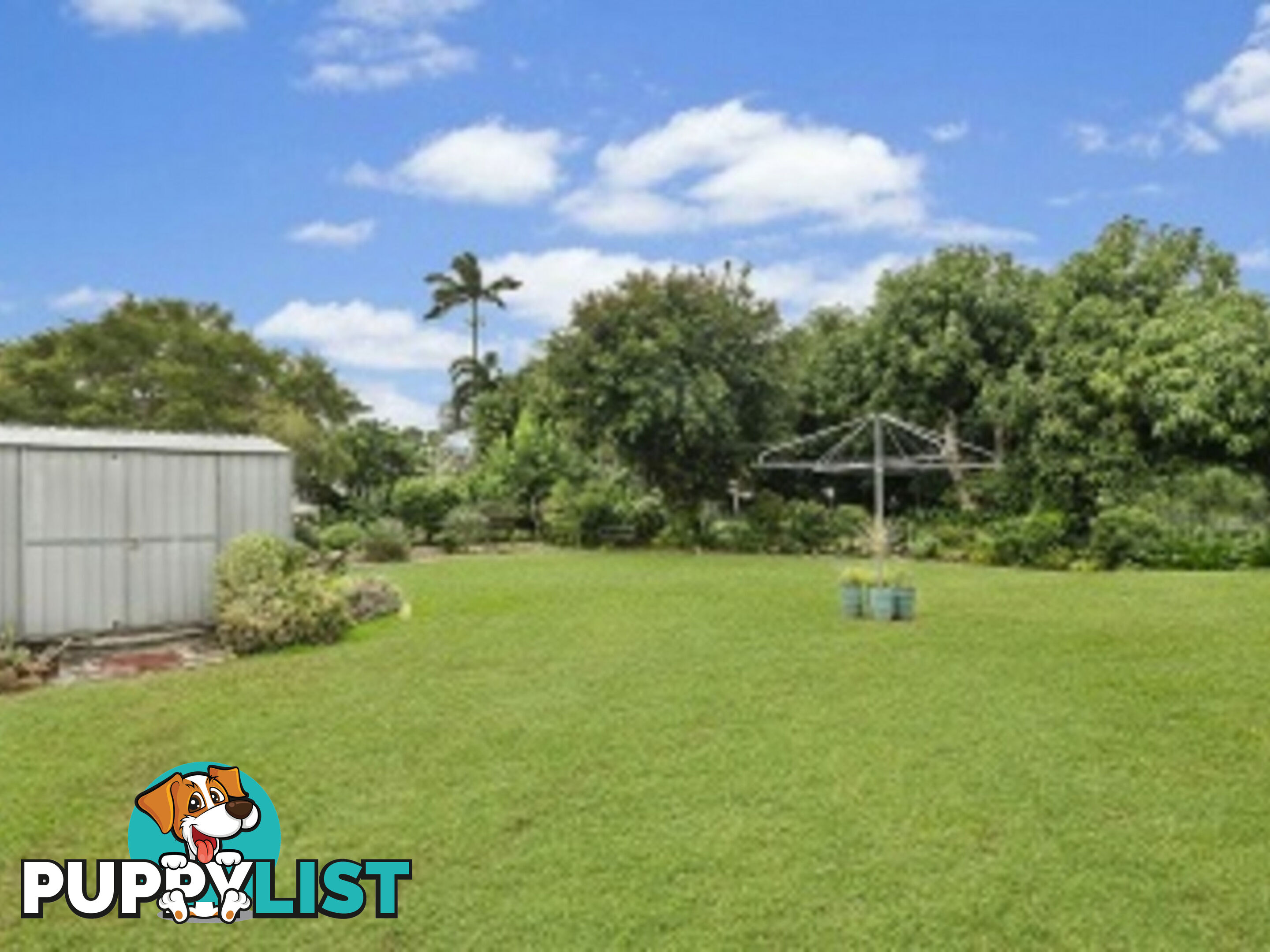 12 McKenzie Street Ingham QLD 4850