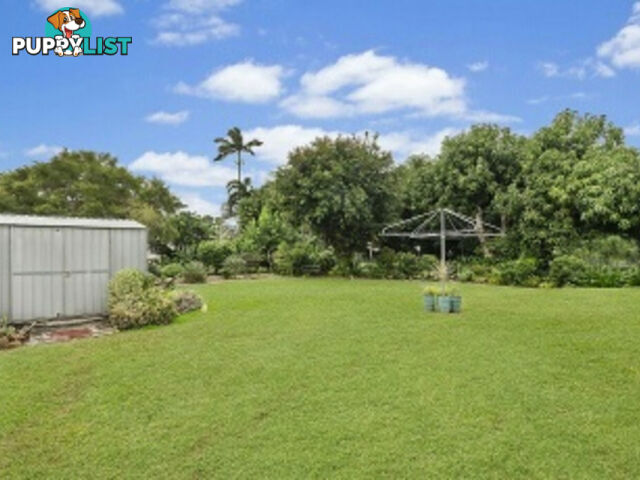 12 McKenzie Street Ingham QLD 4850