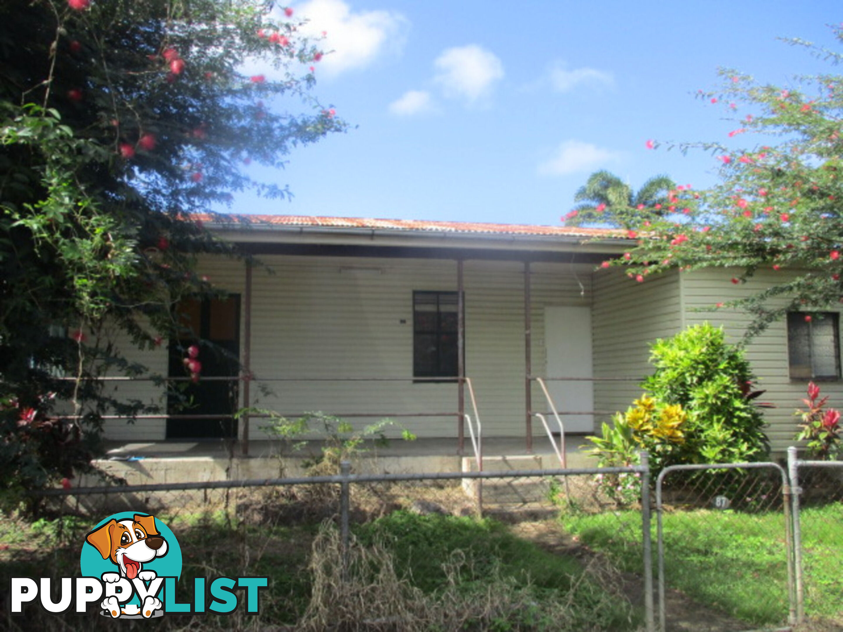 87 Mill Road Macknade QLD 4850