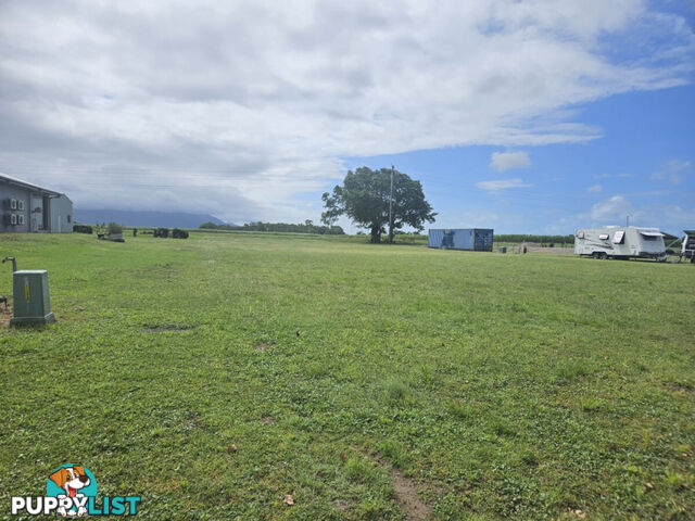 7 Riverdowns Drive Halifax QLD 4850