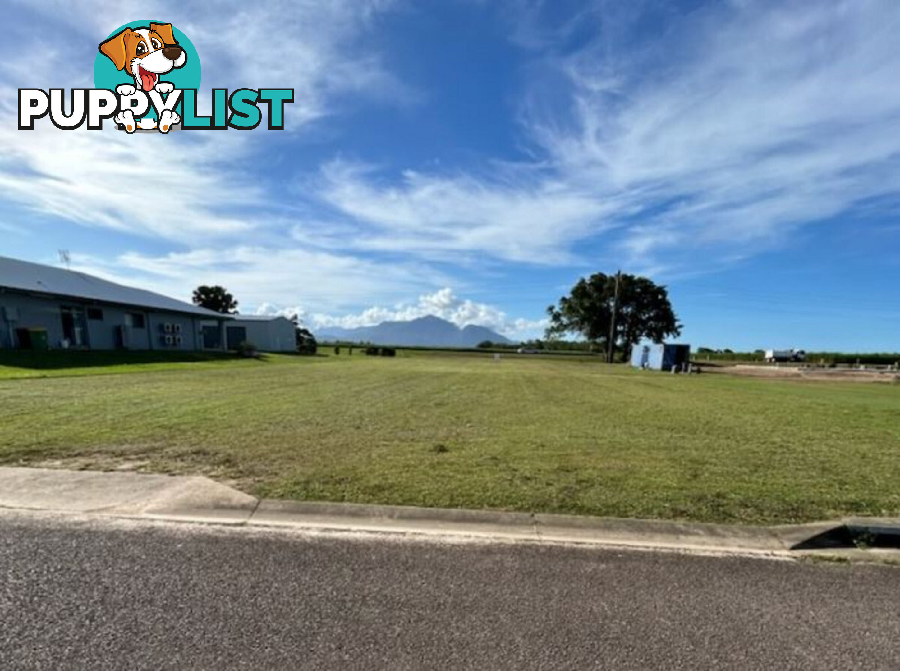 7 Riverdowns Drive Halifax QLD 4850
