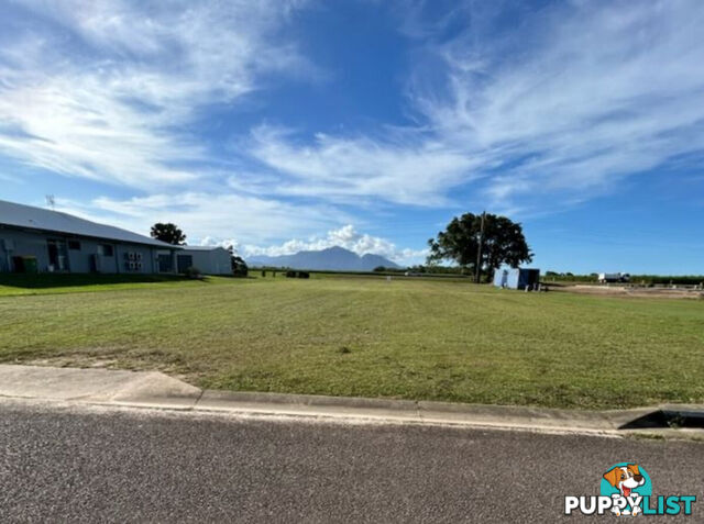 7 Riverdowns Drive Halifax QLD 4850