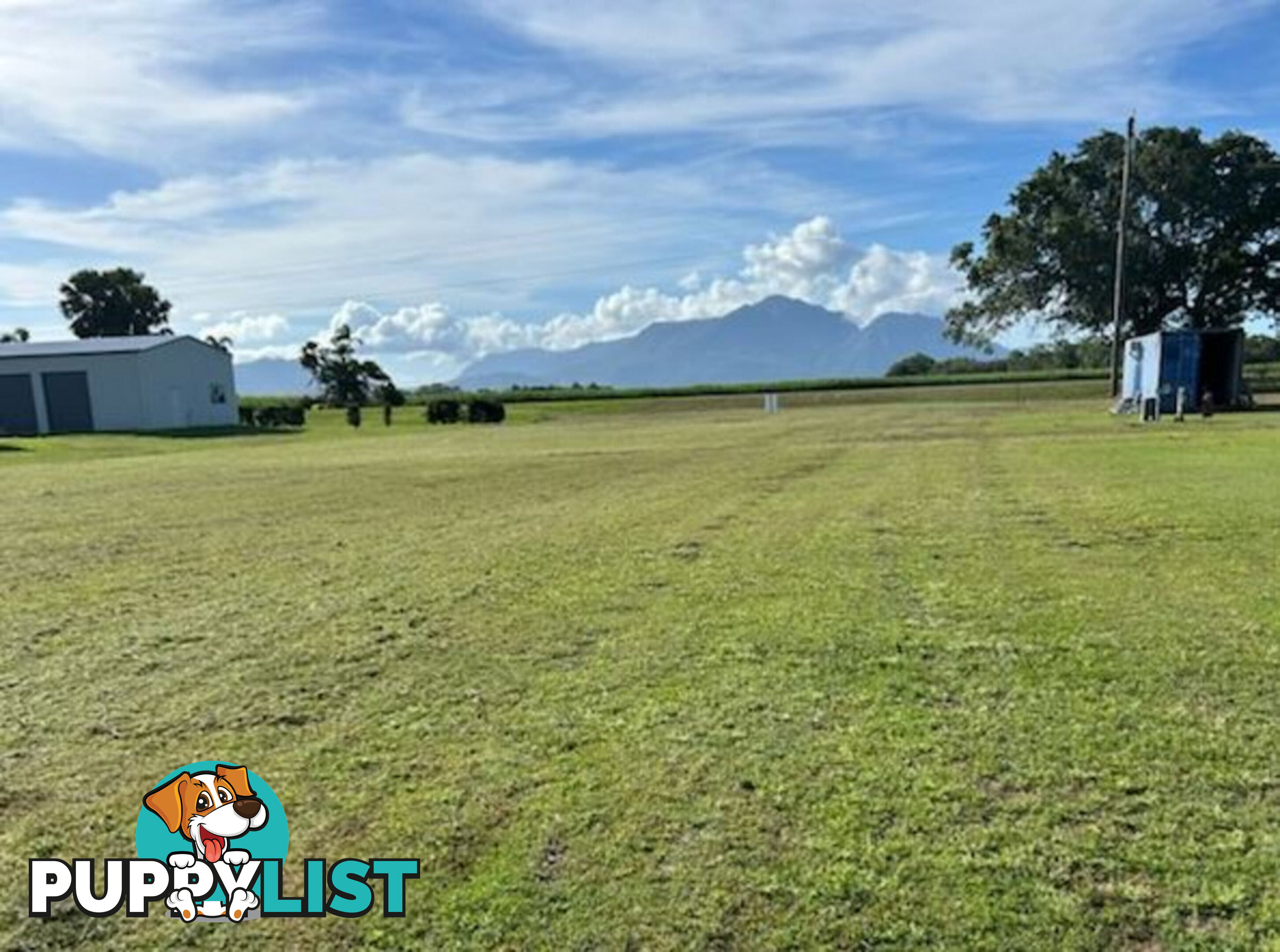 7 Riverdowns Drive Halifax QLD 4850