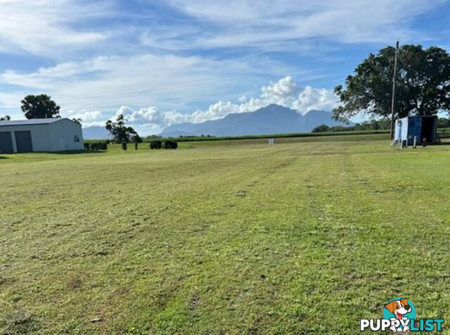 7 Riverdowns Drive Halifax QLD 4850