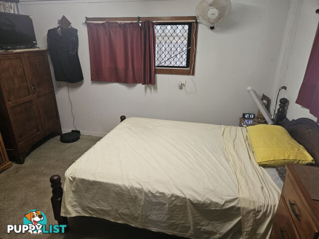 14 Macrossan Street Halifax QLD 4850