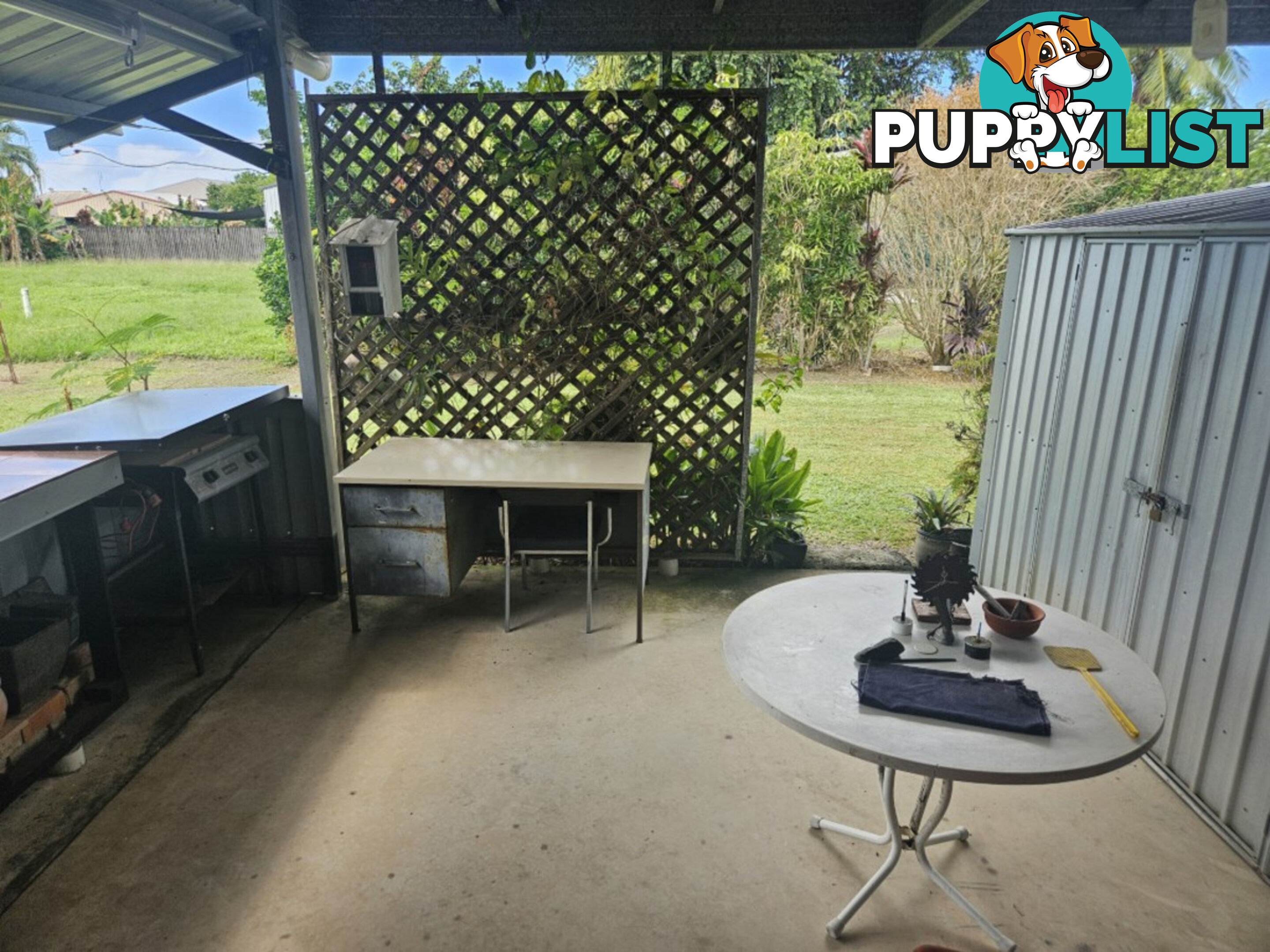 14 Macrossan Street Halifax QLD 4850