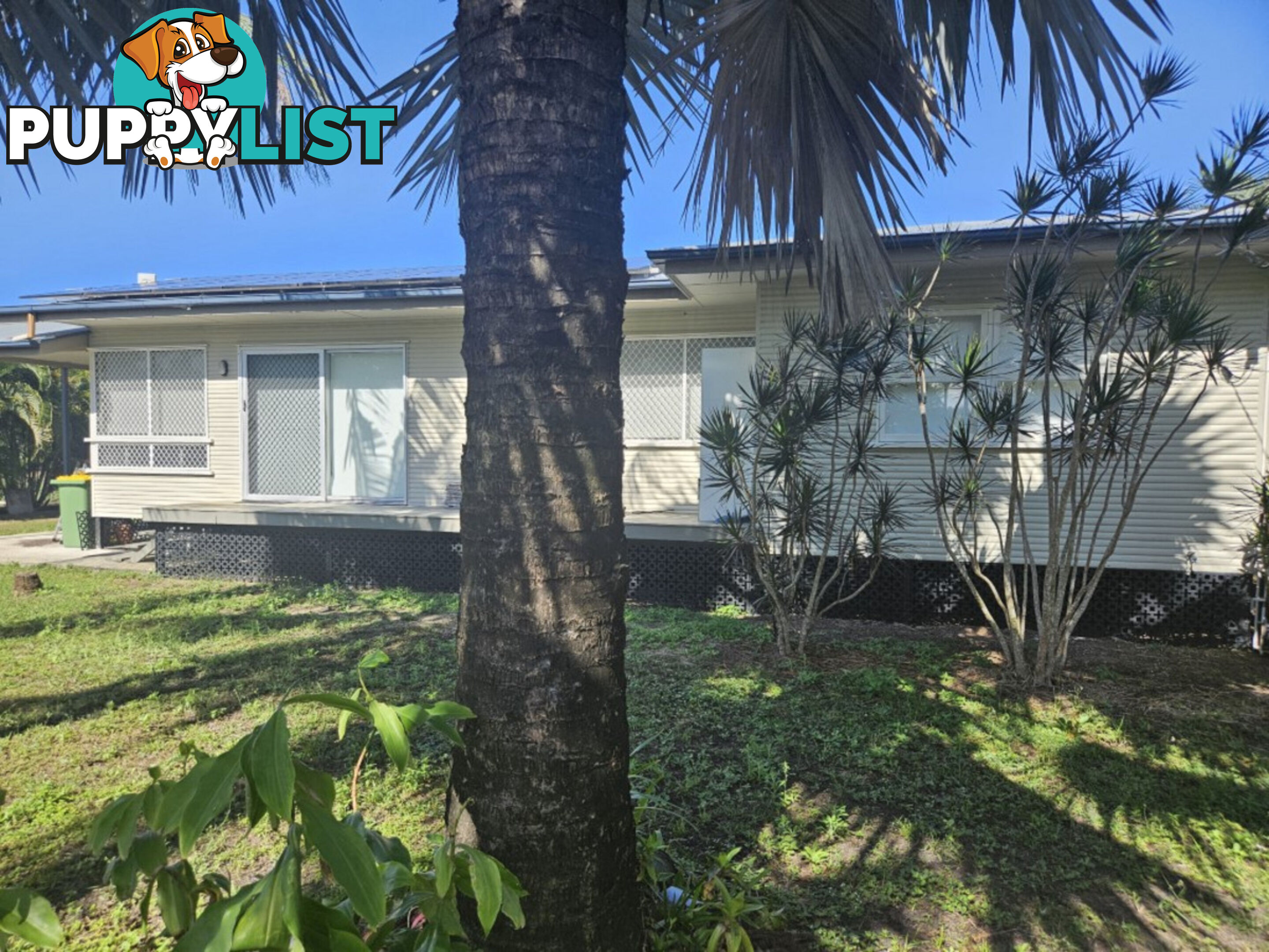 7a Bellbird Close Forrest Beach QLD 4850