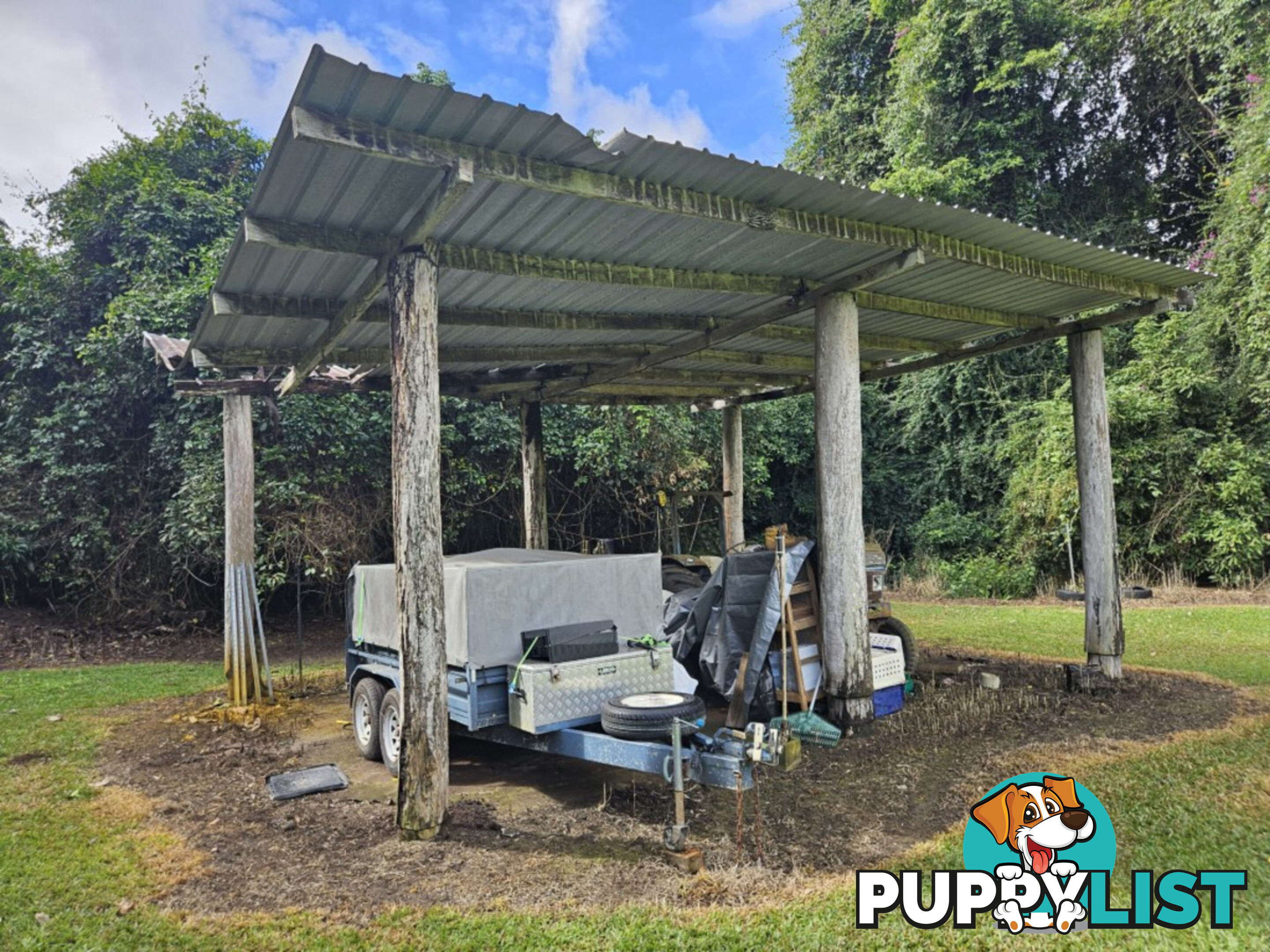 202 Sheahan's Road, Long Pocket Ingham QLD 4850