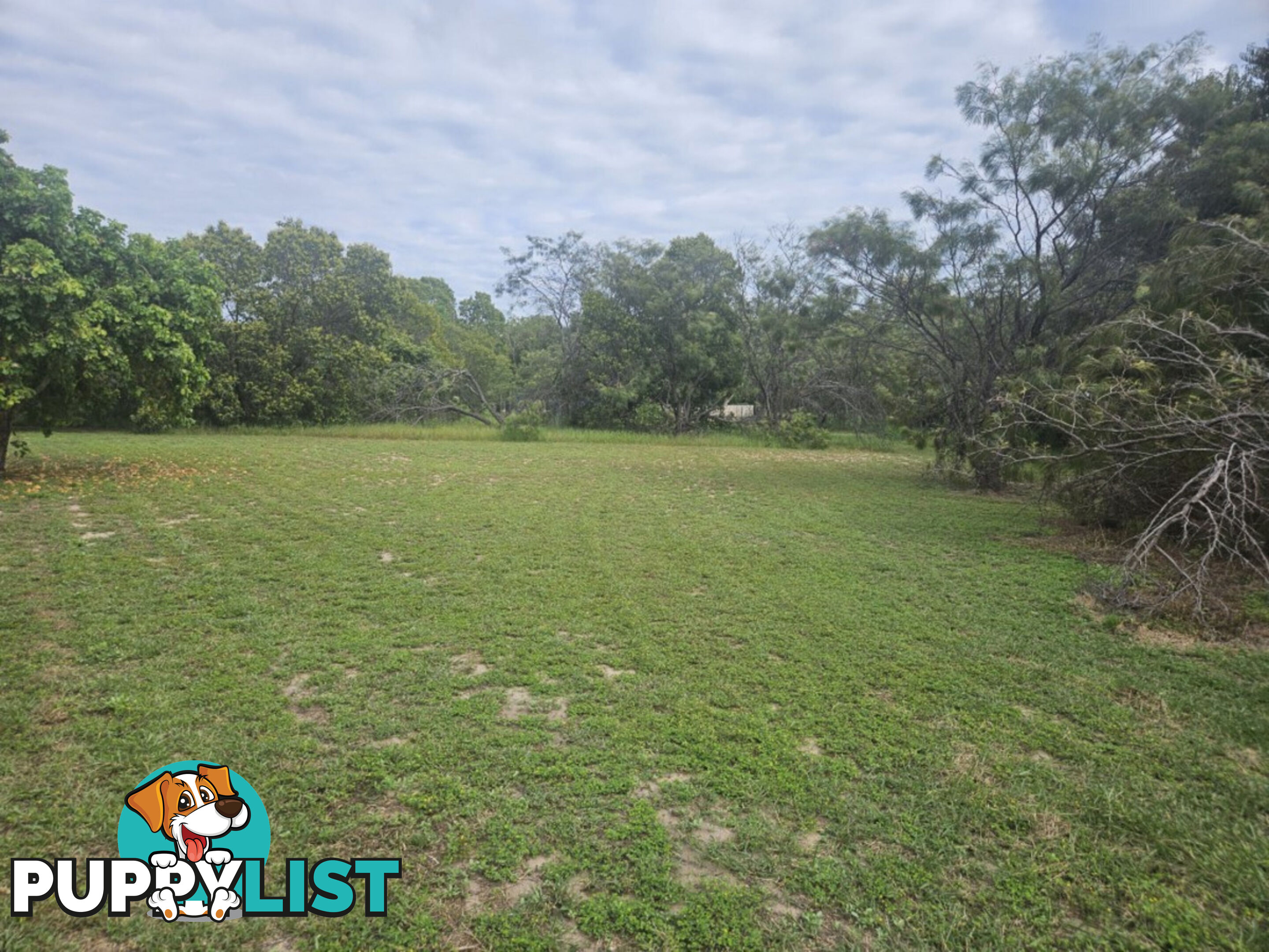 12 Marginata Court Forrest Beach QLD 4850
