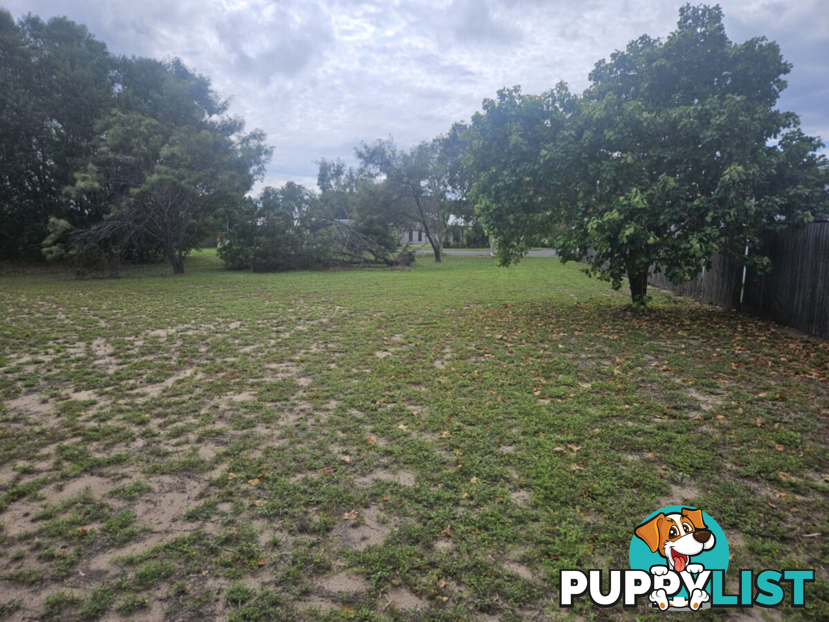 12 Marginata Court Forrest Beach QLD 4850