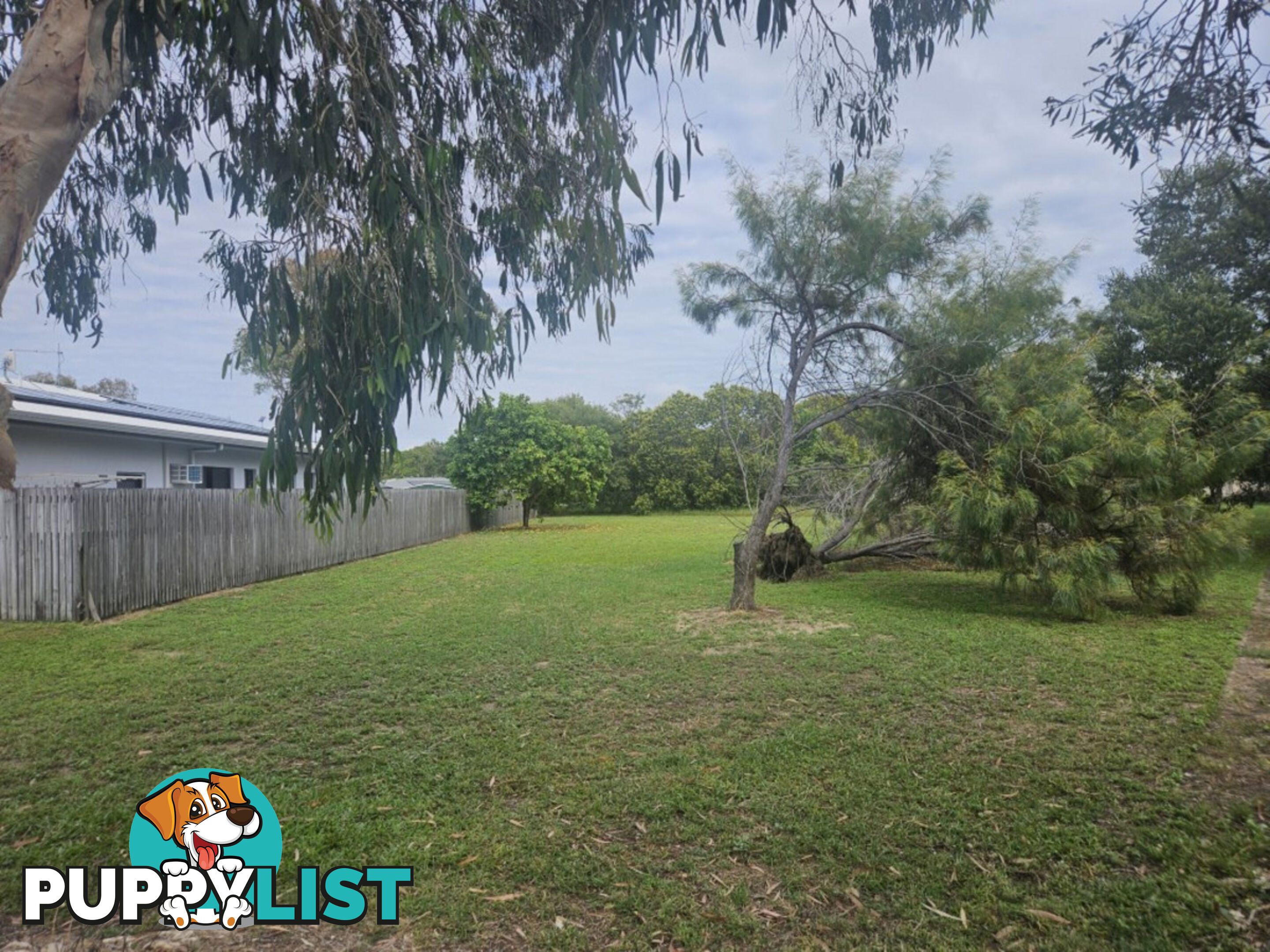 12 Marginata Court Forrest Beach QLD 4850