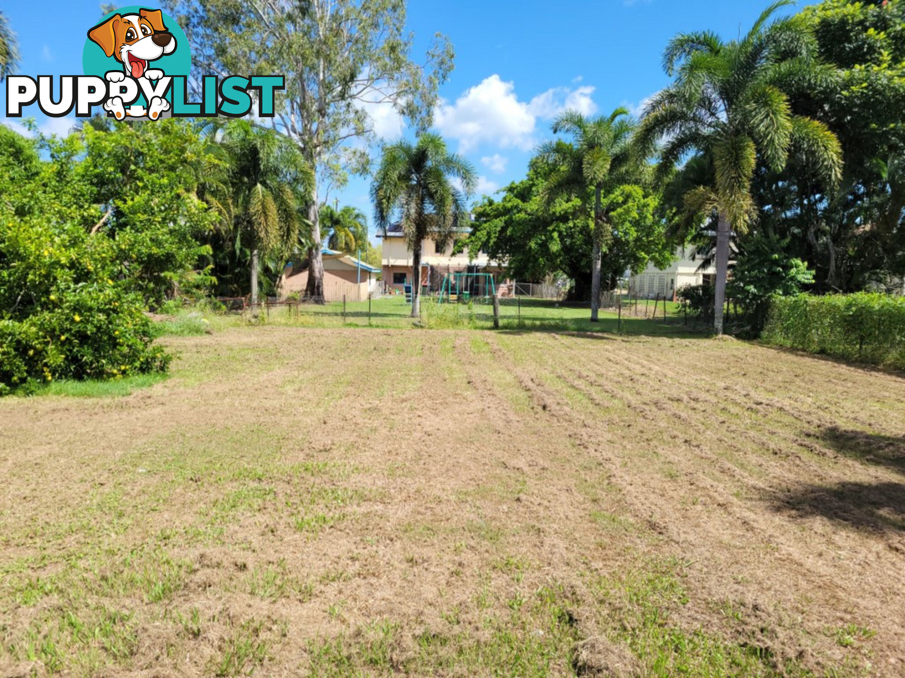 3 Palmer Street Ingham QLD 4850