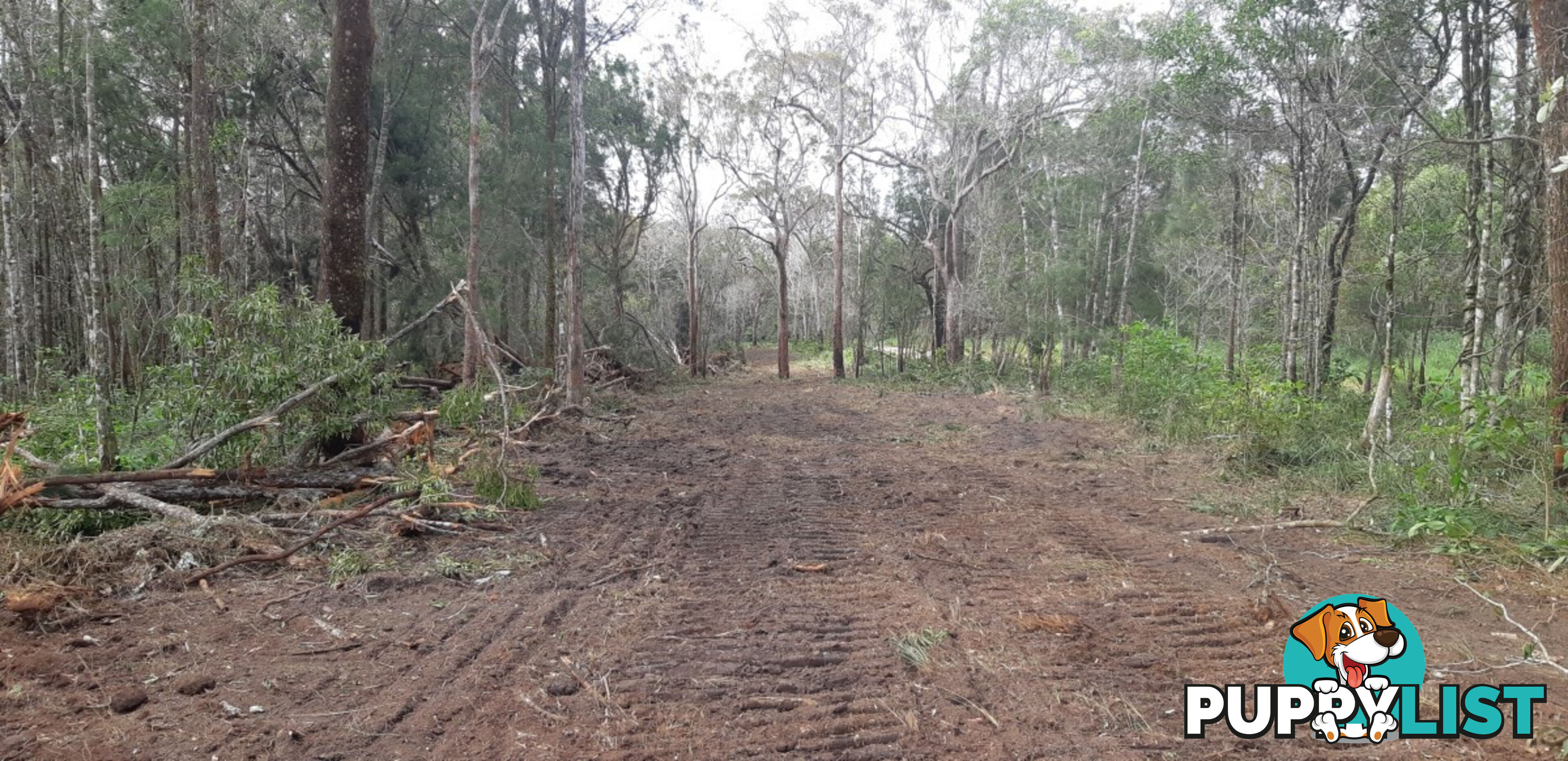 405 Oak Hills Road Mount Fox QLD 4850