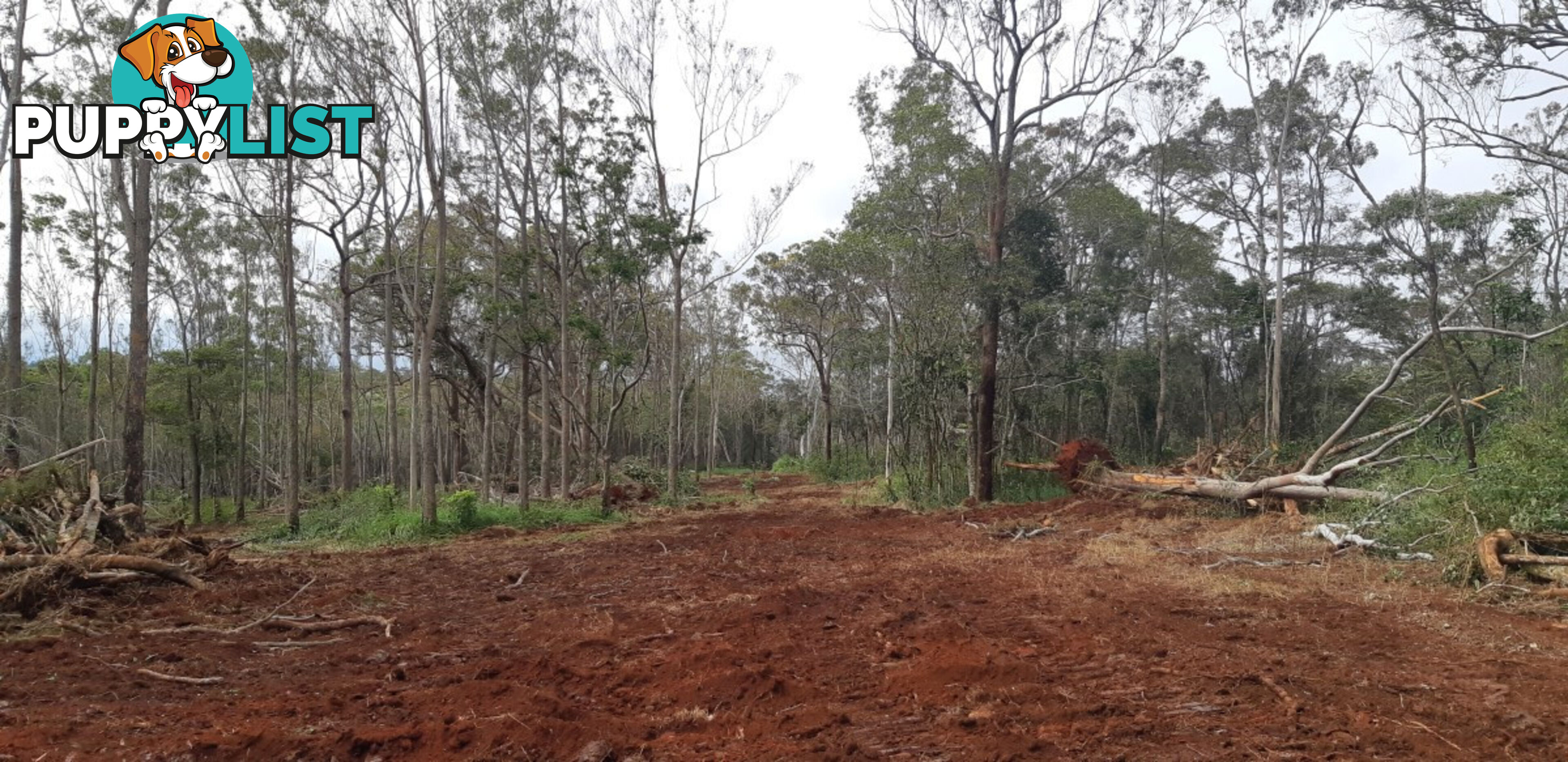 405 Oak Hills Road Mount Fox QLD 4850