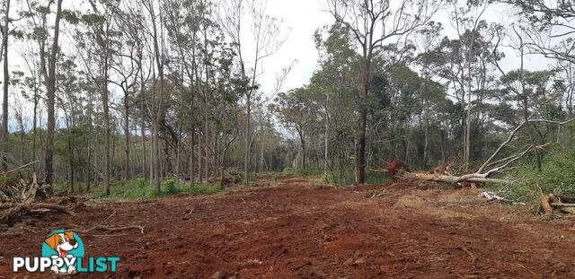 405 Oak Hills Road Mount Fox QLD 4850