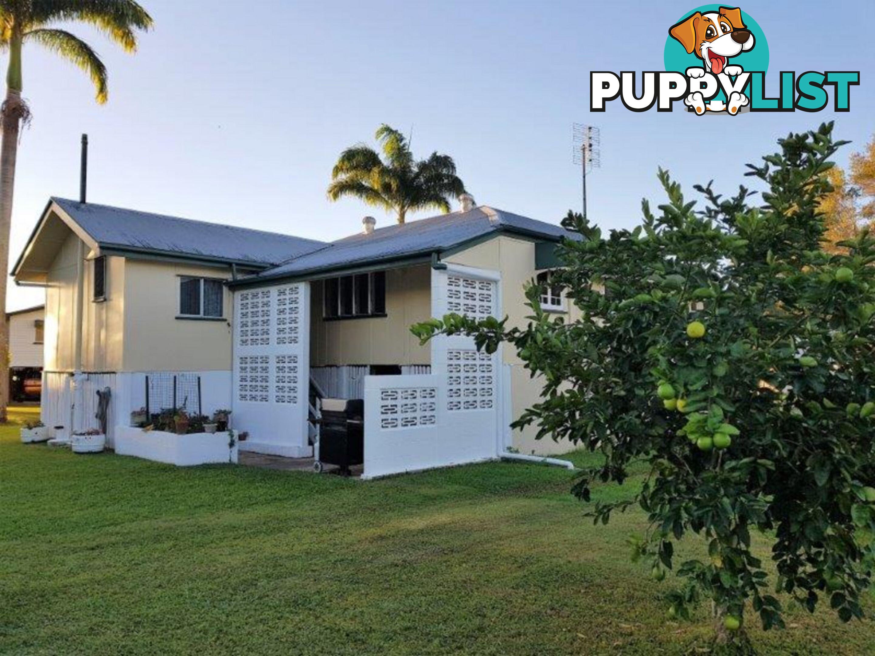 5 Heard Street Ingham QLD 4850