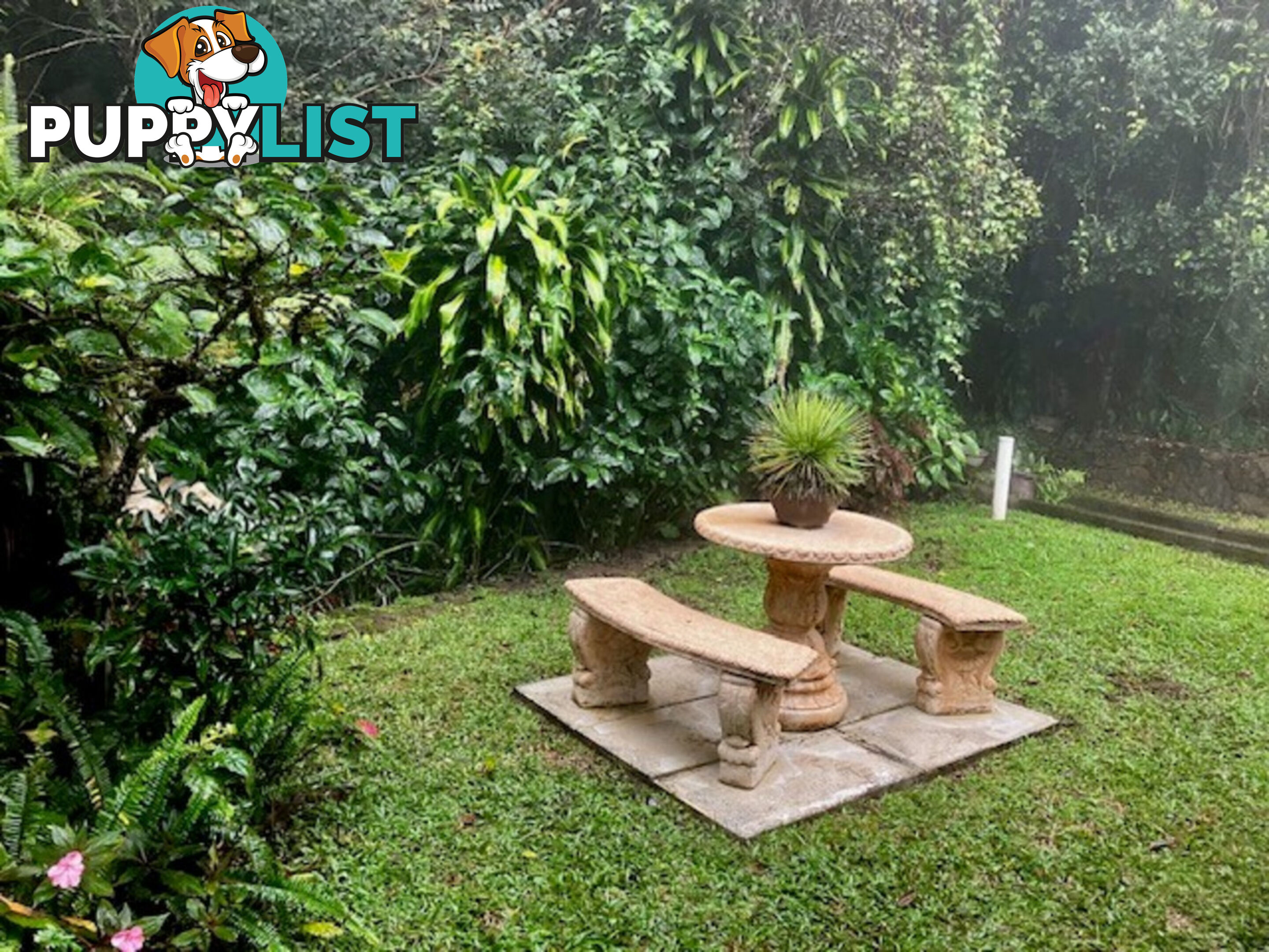 4 Lennox Crescent Paluma QLD 4816