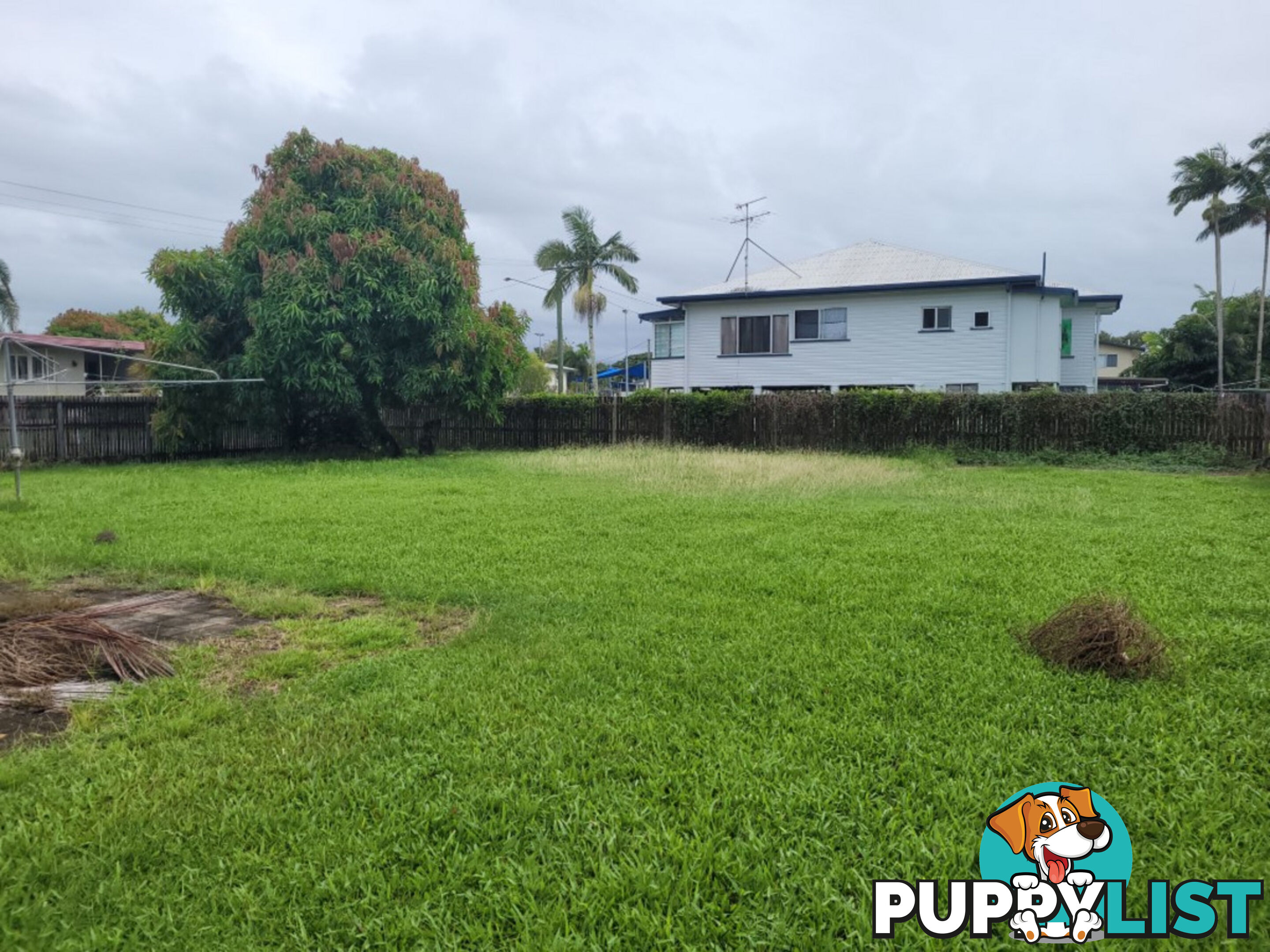 14 Griffith Street Ingham QLD 4850