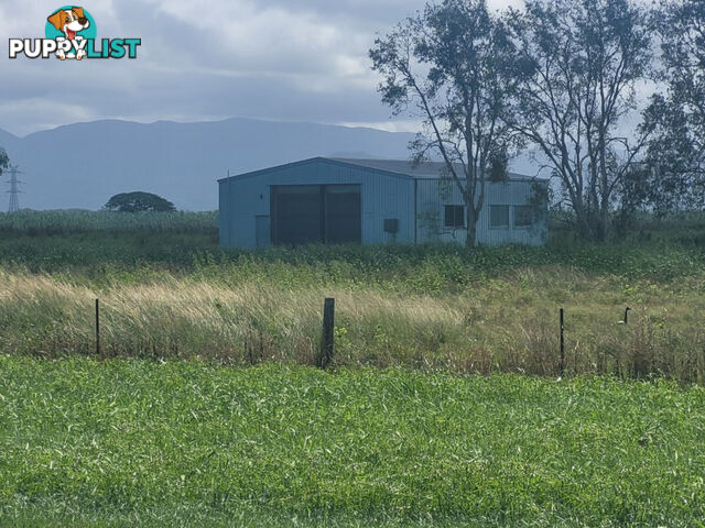 1 Victoria Mill Road, Victoria Plantation Ingham QLD 4850