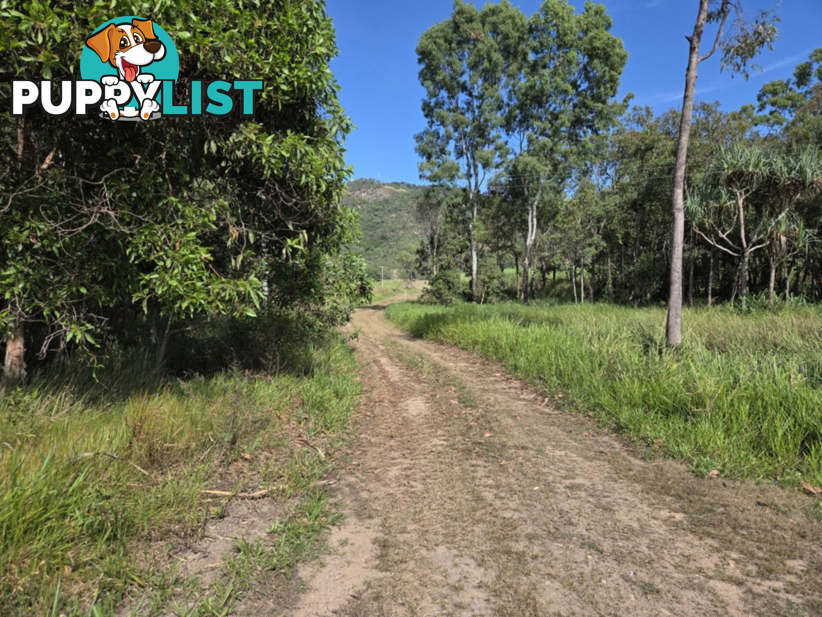 46417 Bruce Highway Coolbie QLD 4850