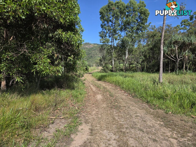 46417 Bruce Highway Coolbie QLD 4850