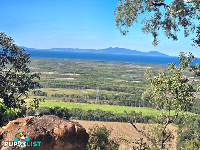 46417 Bruce Highway Coolbie QLD 4850