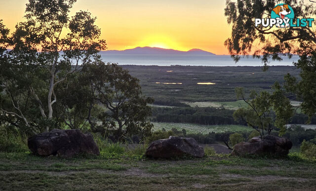 46417 Bruce Highway Coolbie QLD 4850