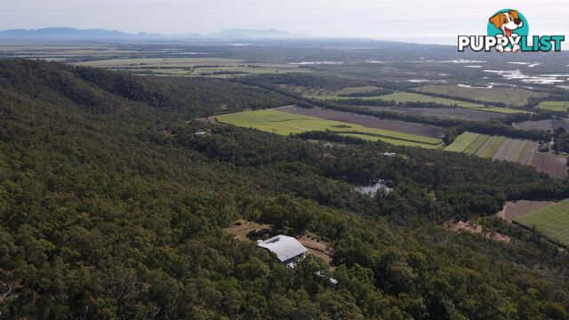 46417 Bruce Highway Coolbie QLD 4850