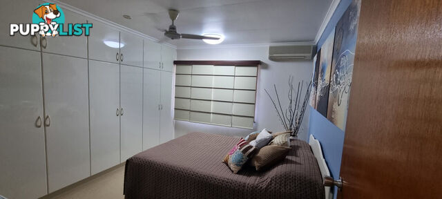 13 Stallan Street Ingham QLD 4850