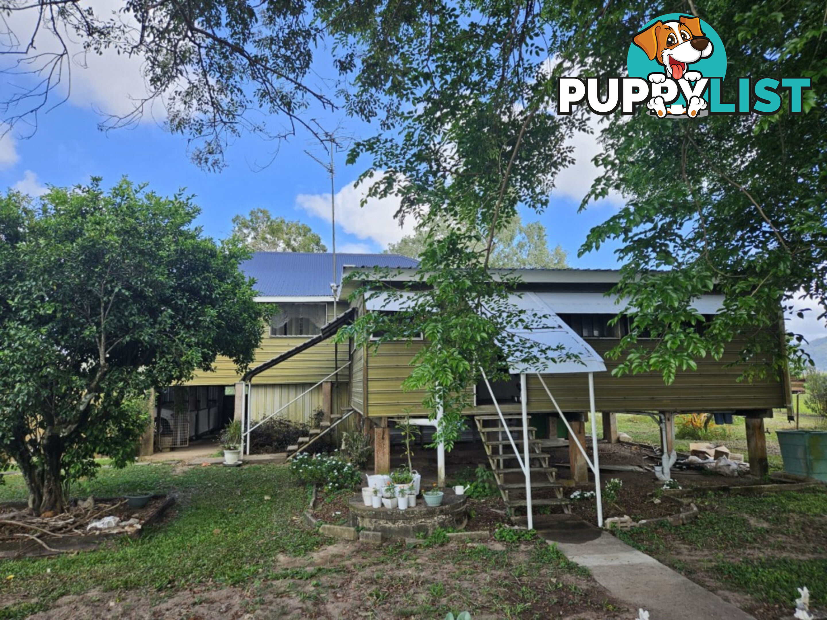 45 Gilbeys Road Hawkins Creek QLD 4850