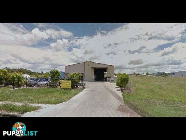 20 Capricorn Street GRACEMERE QLD 4702