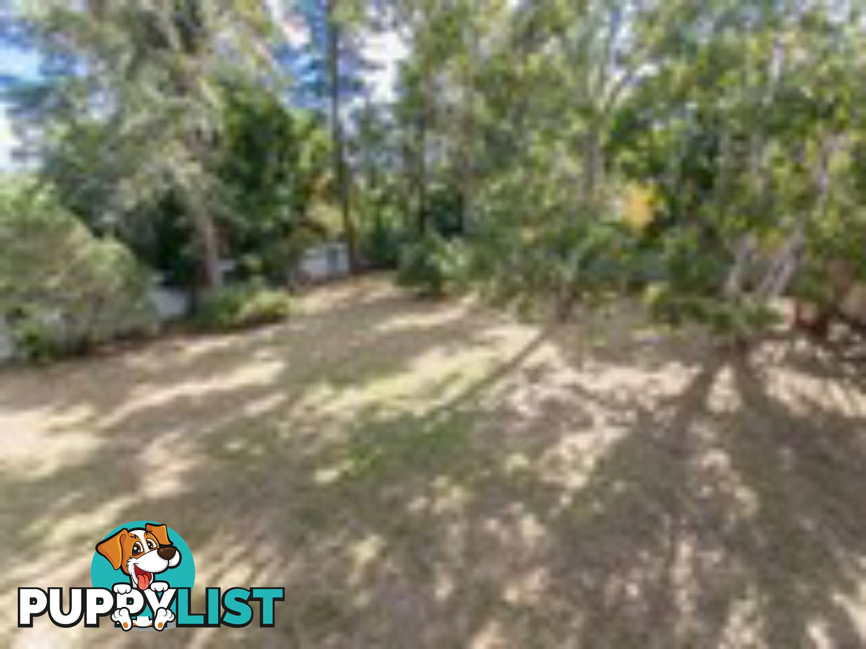 6 Connolly Street ALLENSTOWN QLD 4700