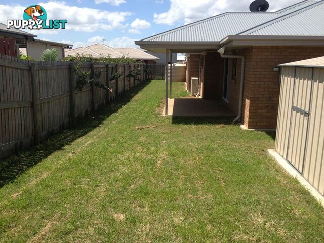 43 Jamie Crescent GRACEMERE QLD 4702