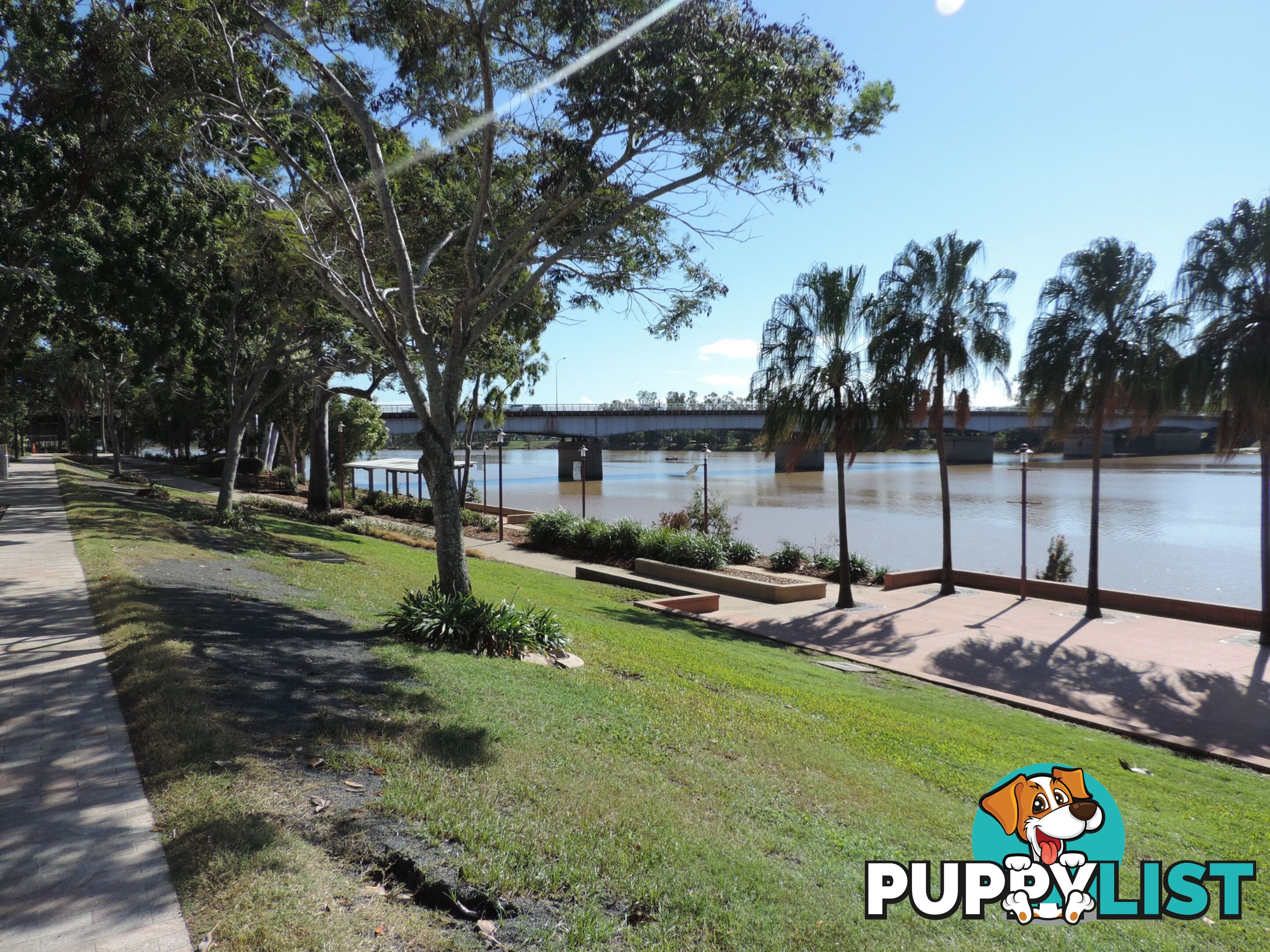 7 Denham Street ROCKHAMPTON CITY QLD 4700