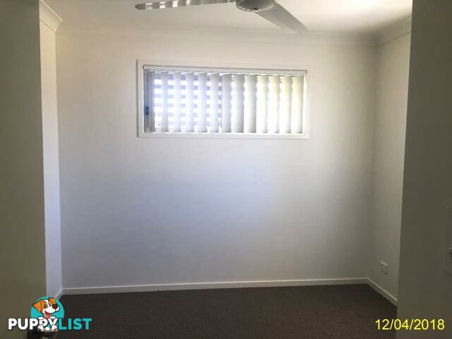 Unit 2/54 Lilly Pilly Ave GRACEMERE QLD 4702