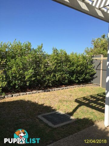 Unit 2/54 Lilly Pilly Ave GRACEMERE QLD 4702