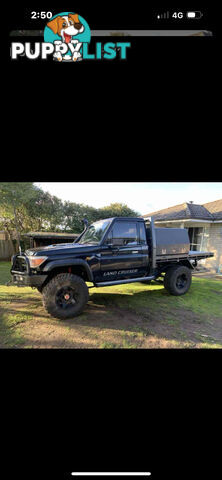 2007 Toyota Landcruiser Vdj79 Ute Manual