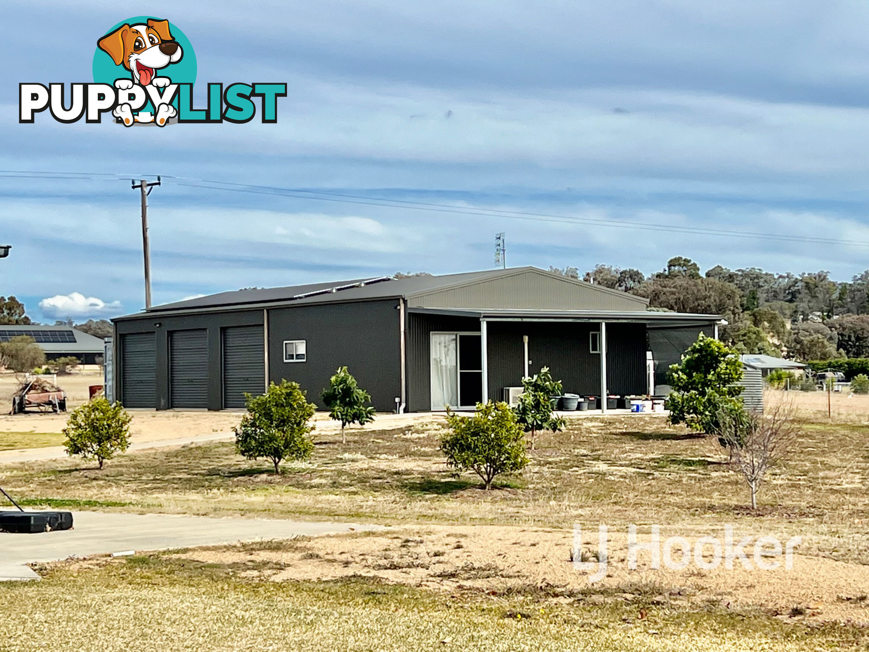 21 Windoona Drive INVERELL NSW 2360