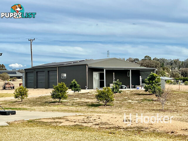 21 Windoona Drive INVERELL NSW 2360