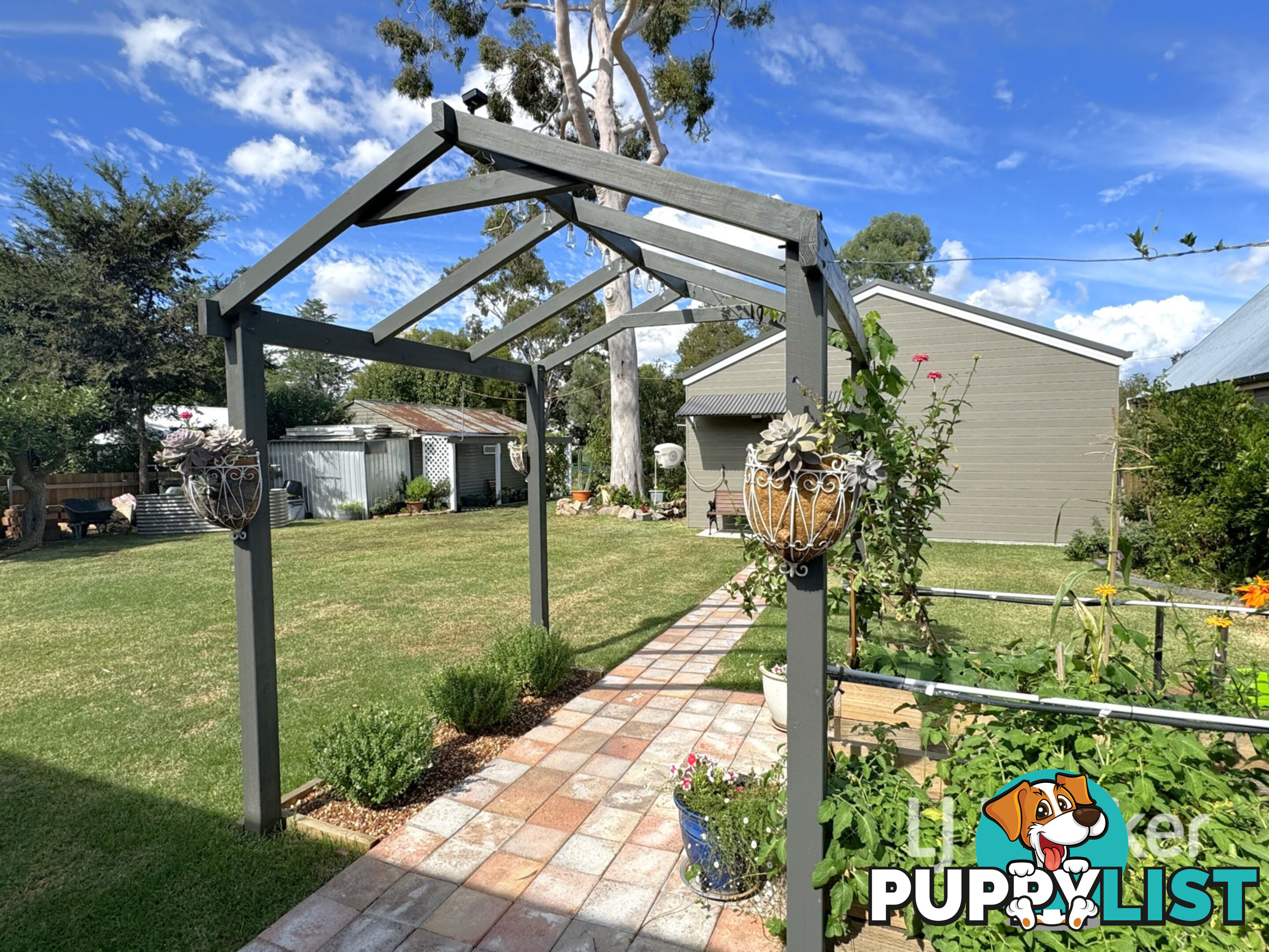 37 Brae Street INVERELL NSW 2360