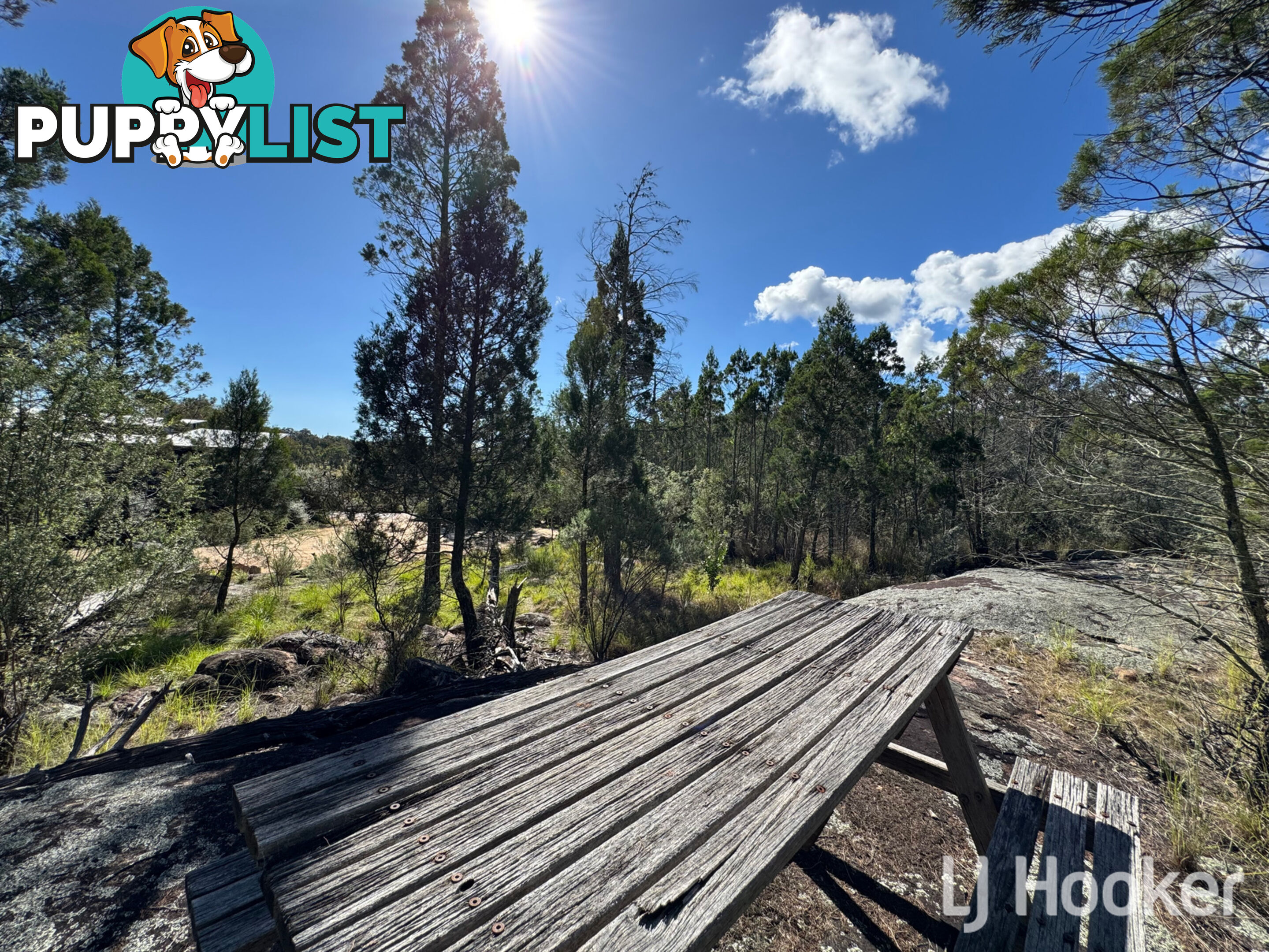 3910 Bundarra Road INVERELL NSW 2360
