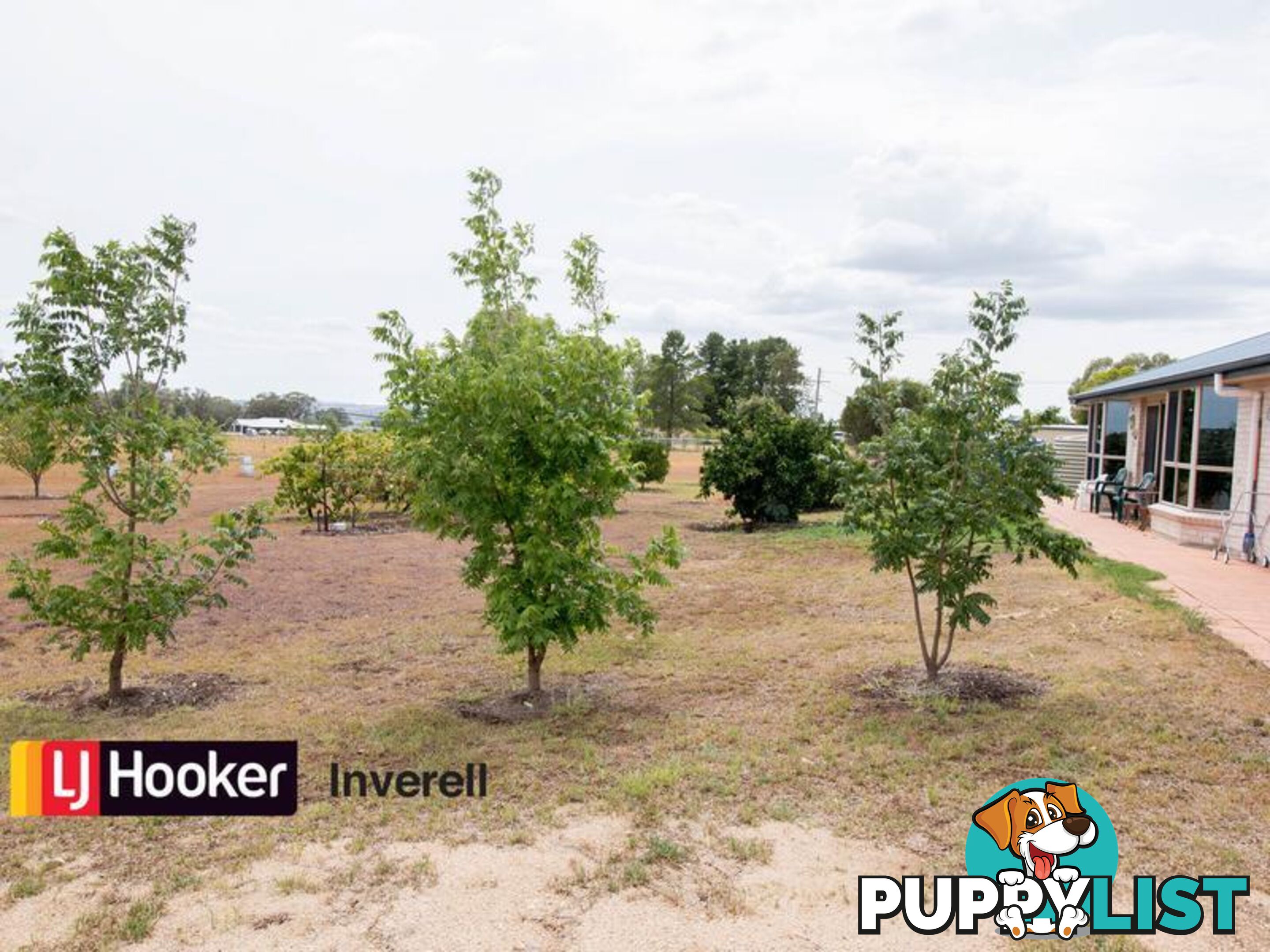 310 Fernhill Road INVERELL NSW 2360