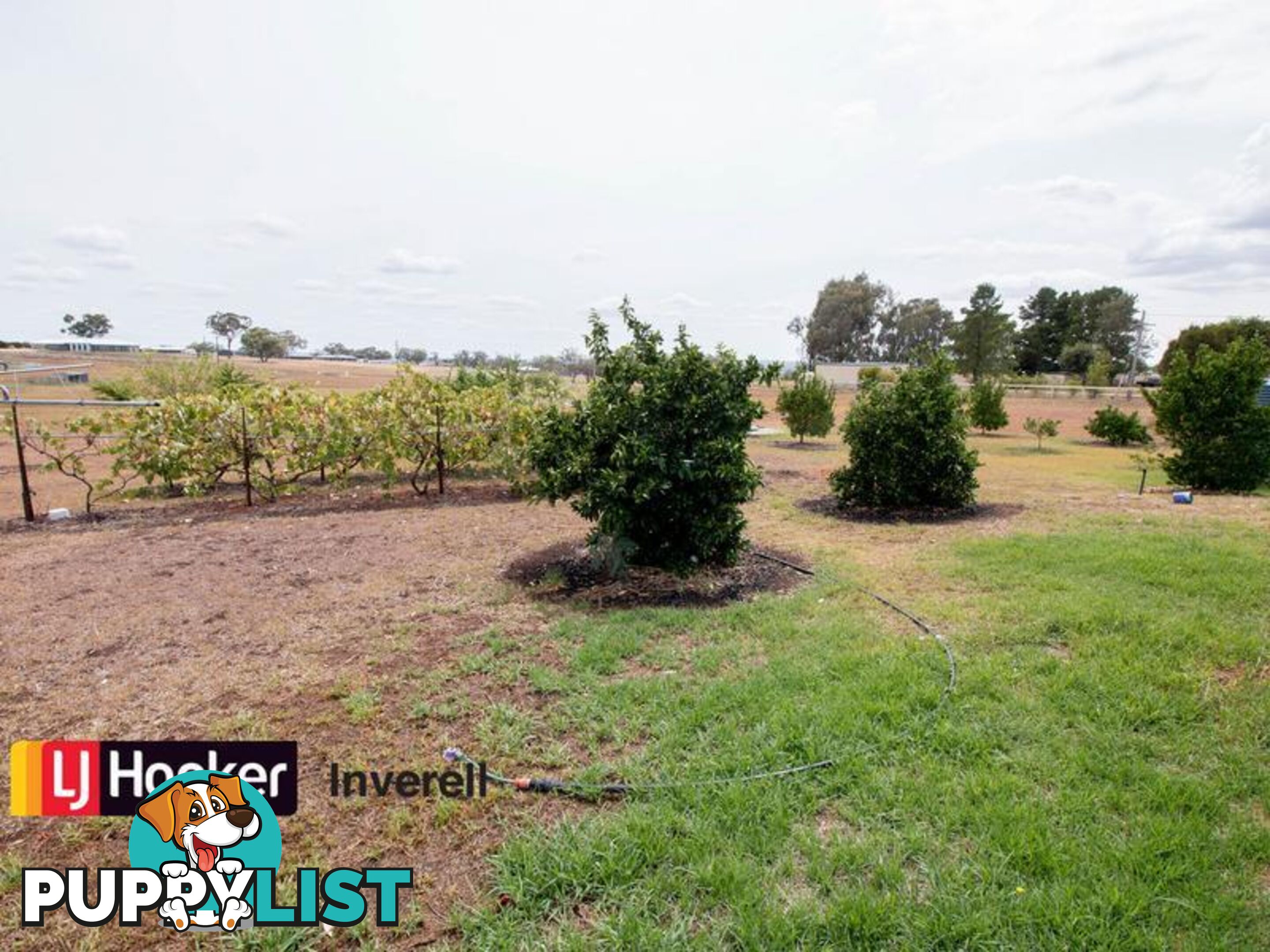 310 Fernhill Road INVERELL NSW 2360