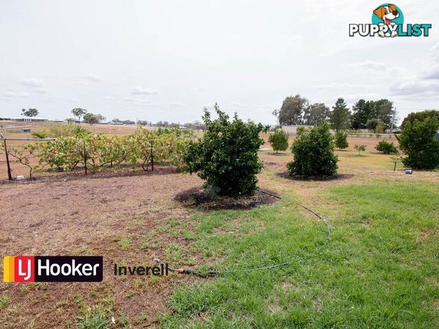 310 Fernhill Road INVERELL NSW 2360