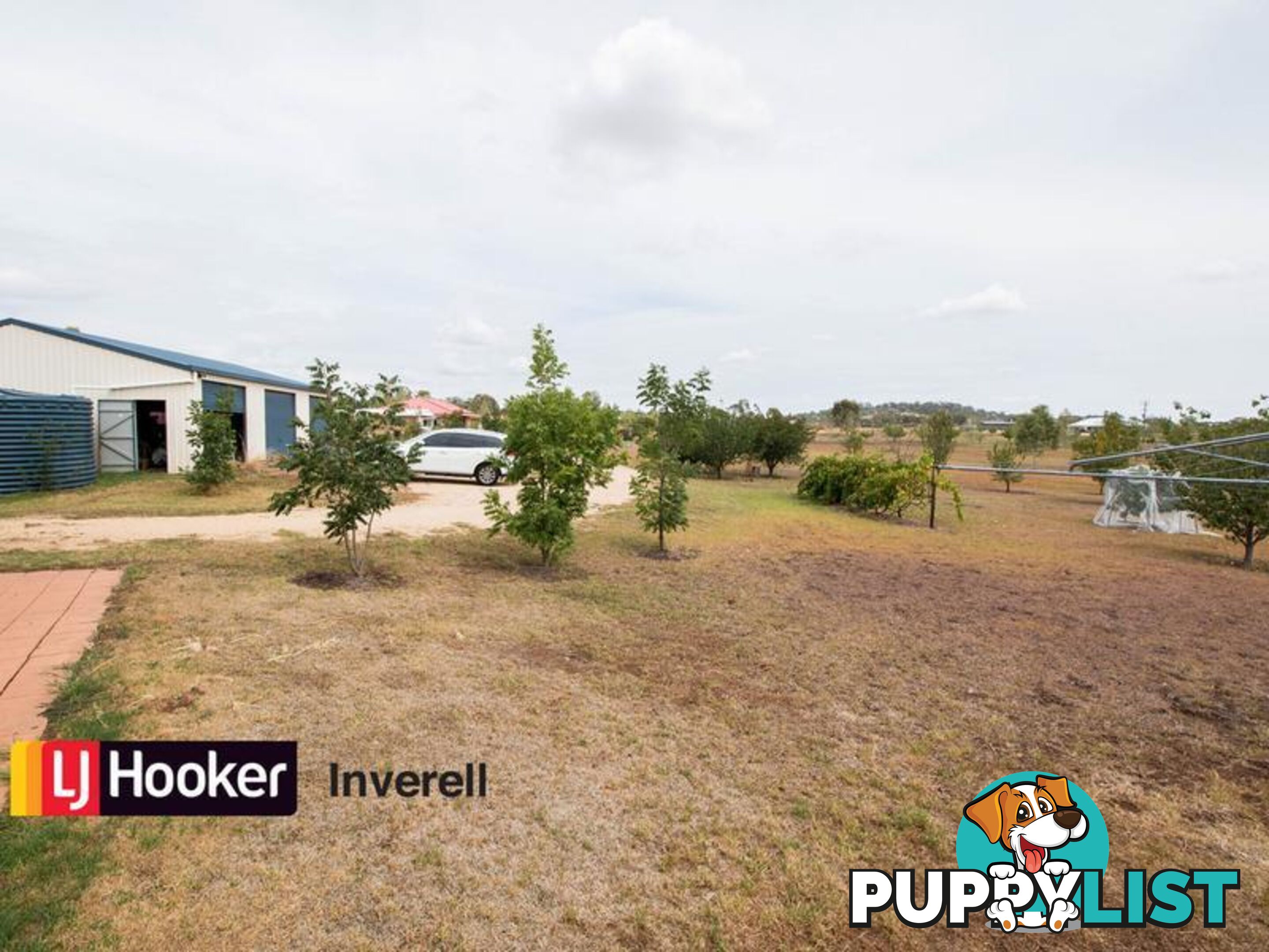 310 Fernhill Road INVERELL NSW 2360