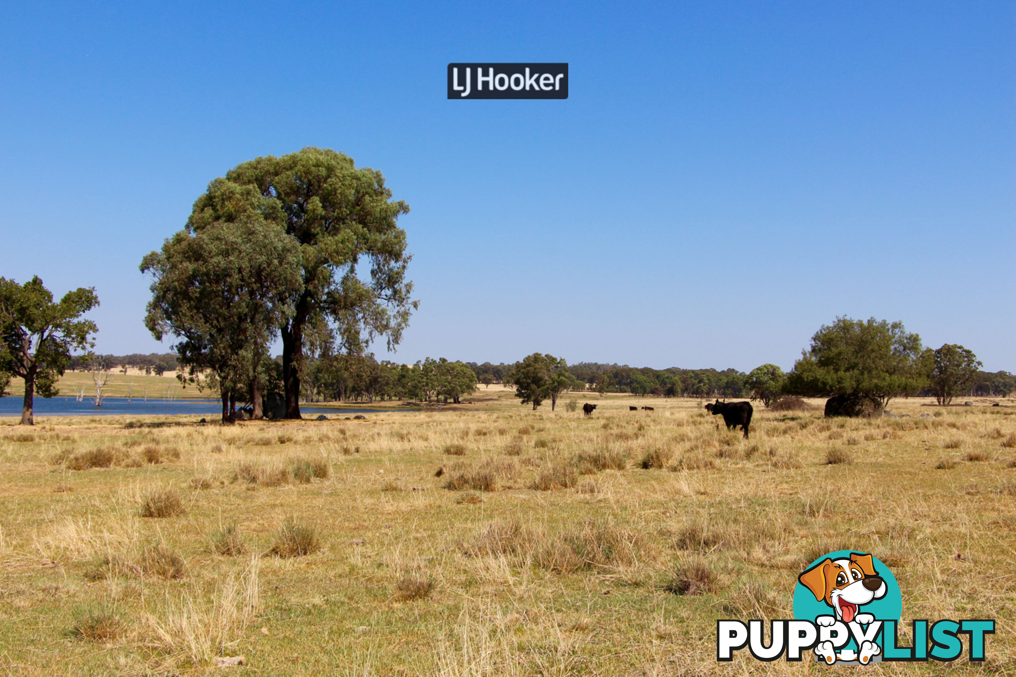 1733 Copeton Dam Road INVERELL NSW 2360